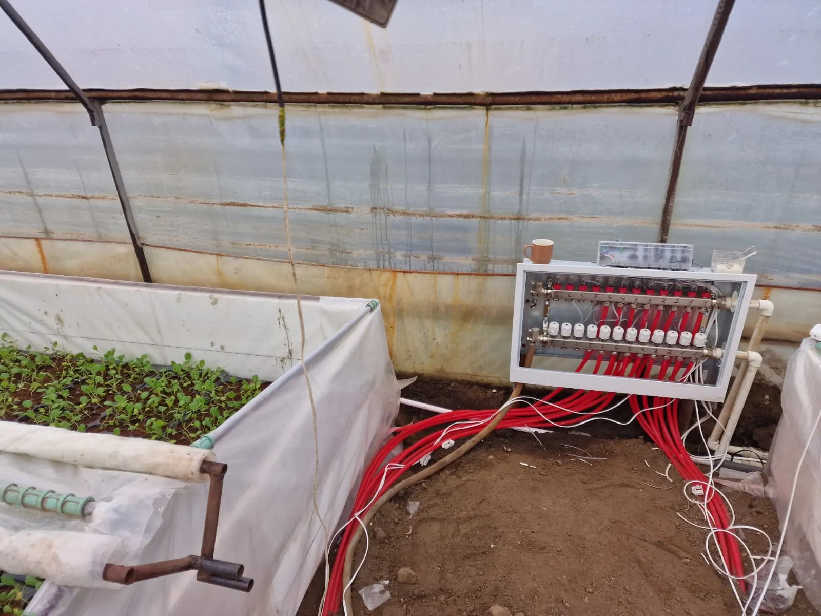 Montaj centrală termică seră